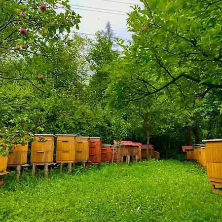Skalne * Szczawa