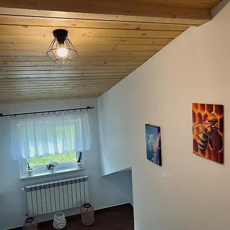 Skalne 民宿 Szczawa