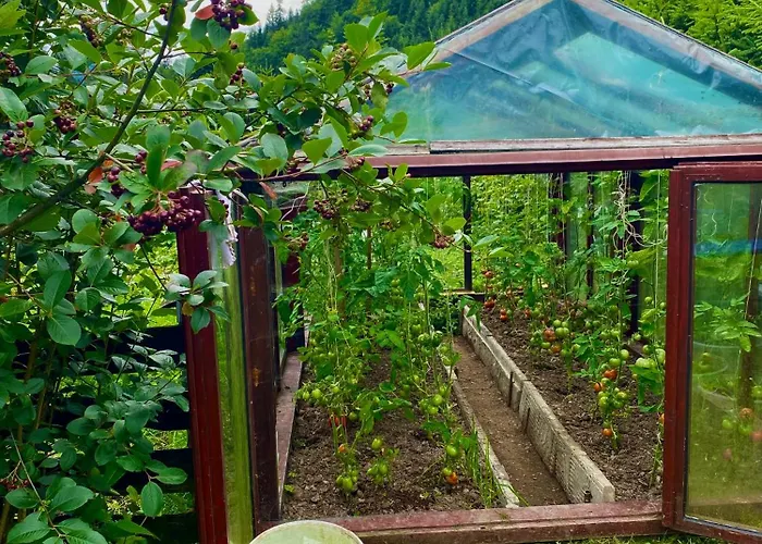 Skalne Kwatera prywatna *