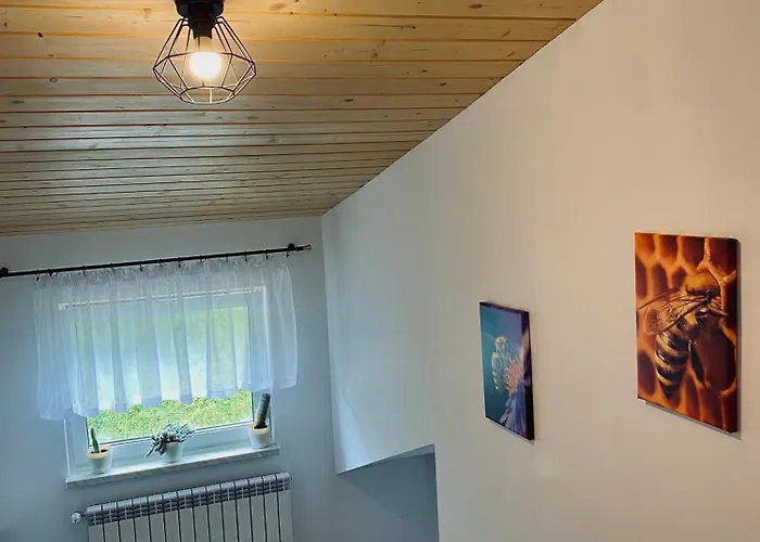 Skalne Kwatera prywatna Szczawa